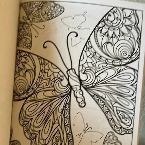 Liqui-Mark: Color Therapy Adult Coloring Book- 48 pages- 2016 - Picture 8 of 16